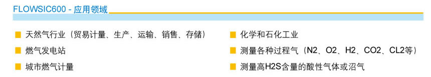 FLOWSIC600  應(yīng)用領(lǐng)域